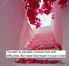 Pin By Fhareena Mohamed On Deed On March 2018 Beautiful Islamic Quotes Islamic Love Quotes Islamic Quotes