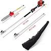 A pole saw can be manual or powered using gas and electricity. 1