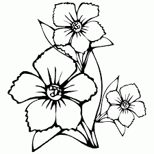 Girasol dibujo imagenes y fotos 123rf. Dibujos De Flores De 5 Petalos Para Colorear