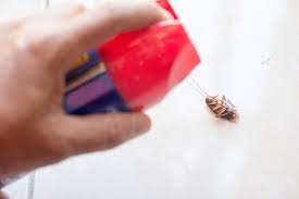 Use sticky traps instead of spraying insecticides for cockroaches, as spraying insecticides will. Best Way To Get Rid Of Cockroaches Better Homes And Gardens