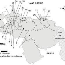 Intituto cultural brasil venezuela está localizado(a) en caracas. Mapa Del Registro De Gomphotheriidae En Venezuela Los Numeros Senalan Download Scientific Diagram