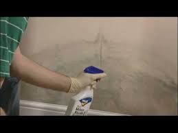 How To Remove Mould From Walls And Ceilings Youtube
