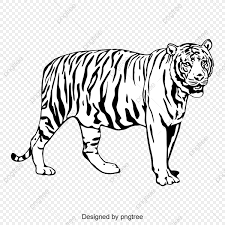 We did not find results for: Harimau Hitam Putih