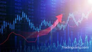 Karena akela memiliki trading plan yang dihasilkan oleh sistem, sehingga anda tidak perlu harus belajar technical & fundamental. Strategi Trading Untuk Saham Trend Naik Yang Mudah Dilakukan