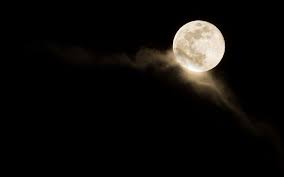 Open your minds by watching the video how moon s. Pin On Moonlight Garden