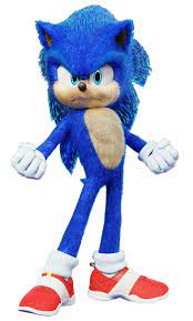 Sonic Pose Angry Hedgehog Movie Sonic Sonic The Hedgehog