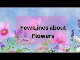 5 Lines On Different Flowers Part 1 Let S Learn English And Paragraphs Youtube