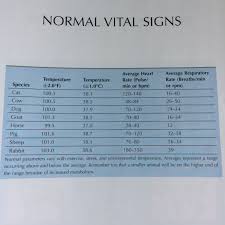 Normal Vital Signs In Animals From Tasks For The Veterinary