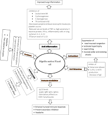 Natural Therapeutic Approach Of Nigella Sativa Black Seed Fixed Oil In Management Of Sinusitis Abstract Europe Pmc