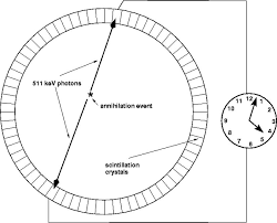 Information and translations of coincidence in the most comprehensive dictionary definitions resource on the web. Coincidence Detection An Event Is Recorded In Pet Only If The Two Download Scientific Diagram