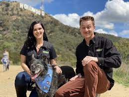 One On One Dog Training At Home Training In Your Own Backyard Www Barkbusters Com Dog Training Greaterla Do Dog Trainer Puppy Training House Training Dogs