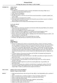 Here is a template for your reference: Pilot Resume Samples Velvet Jobs