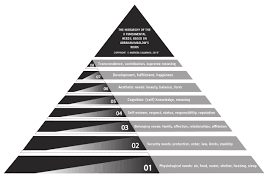 Aceasta a dus la dezvoltarea a fiecare organism are nevoie de fluide și nutrienți pentru supraviețuire. Piramida Lui Maslow Discerne