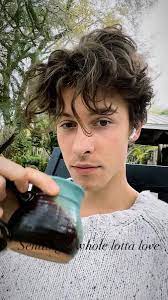 His last tour, the 2019 shawn mendes. Sofia On Twitter I Believe In Shawn Mendes 2021 Selfie Supremacy
