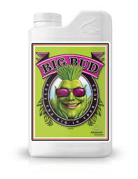 Maybe the headache of staying in focus steered me in the other direction?! Big Bud Bloom Booster Advanced Nutrients