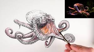 Make sure your paper is completely dry to the touch before outlining! Line And Wash Lesson Octopus