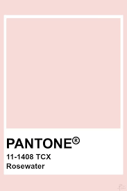 Pantone Rosewater Pantone Colour Palettes Pantone Pantone Pink