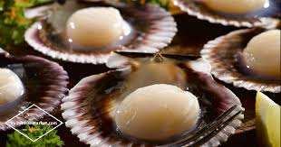 Season with salt and pepper. What Are Scallops What Is Scallops Scallop Recipes Cooking Seafood