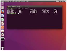 Docker build weist docker an, aus einem dockerfile heraus ein image zu bauen. Docker Tutorial Installation Und Erste Schritte Ionos
