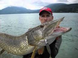 One rider has been king of the mountains, won the combination classification, combativity award. Record Gros Brochet Annecy Youtube