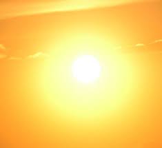 Haaruitval Door Tekort Aan Vitamine D Angel Wings Nl