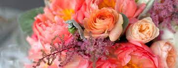 We did not find results for: Copper Penny Flowers Home Facebook
