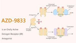 Image result for Selective Estrogen Receptor Modulator