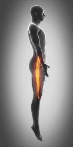 Bursitis is usually caused by overuse of a joint, or when a joint is under pressure or if you have a painful joint that you think may be due to bursitis, see your gp (general practitioner). Hip Bursitis Treatment We Treat Greater Trochanteric Bursitis In 6 Weeks