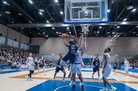 Divarikatsaus - Viikko 17