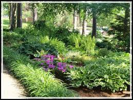 Shade offers the opportunity to grow wonderful plants that not only tolerate a lack of sunlight but thrive there. Keep Your Plants Happy With The Following Advice Special Garden Design Shade Plants Shade Landscaping Shade Garden Design