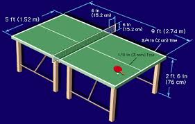 Pin On Table Tennis