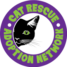Ohs is an independent nonprofit animal shelter located. Cat Rescue And Adoption Networki Can T Keep My Pet Cat Rescue And Adoption Network