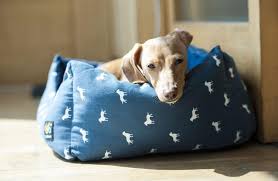 We did not find results for: The 12 Best Beds For Large Dogs Dogs World
