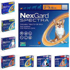 It is a monthly treatment that also ensures effective. Nexgard Spectra Oral Trentment For Dog Fleas Ticks Intestinal Worms Heartworms Dog Accessories Aliexpress