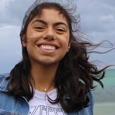 In a medium bowl, whisk together the yogurt, cucumber, garlic, lemon zest, lemon juice and dill. Spice Up Your Traditional Recipes With Takis