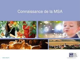 Service pénitentiaire d'insertion et de probation de la dordogne 157 m 35 rue bodin 24000 périgueux. Connaissance De La Msa Ppt Telecharger