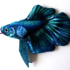 Turquoise Veiltail Betta Splendens Handmade Plush Keychain Plush Pattern Handmade Plush Cute Mouse