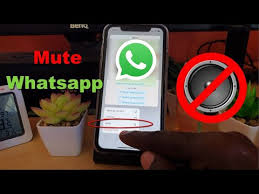 Iphone Mute A Chat On Whatsapp Youtube