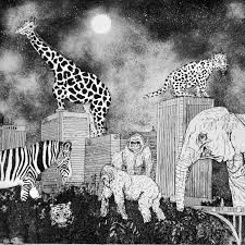 Camel through a needle's eye, a. Eye Of The Needle Giddyup Camel Cashmere Jungle Lords