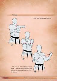 Suigetsukan toyama ryu requirements 2010 kata kata happo no kamae sanbo no kamae happo giri shodan no kata nidan. The Essence Of Karate The Manual Pdf Version Shotokan Kata