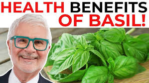 My Basil Pruning Trick for Bigger, Bushier Plants! 🪴