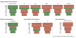Influenza H5n1 X H1n1 Reassortants Ignore The Headlines It S Good Science