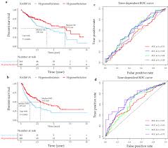 Respond appropriately to allegations against staff, other adults, and against themselves. Identification Of Rassf1a Promoter Hypermethylation As A Biomarker For Hepatocellular Carcinoma Cancer Cell International Full Text