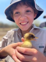 Sheep shearing day! Once a year our trusty shearer Shane Bird comes out to  take off the winter coats ready for spring 🌼 Kacey also for involved  shearing her first 🐑