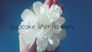 Making it by yourself rather than spending money on flowers grown in greenhouses, you can make these paper carnations using only cupcake liners. Cupcake Liners Flowers 2 Minute Diy Youtube