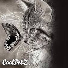 Coolpetzcom On Instagram The Butterfly Effect Kelebek Etkisi Cat Catlover Pet Petlover Butterfly Animals Realistic Animal Drawings Cute Animals