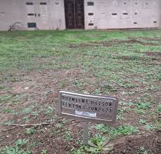 Quintin Earl “Q” Dotson (1983-2023)