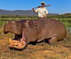 Tanner Windham (@CarnoStomper27)