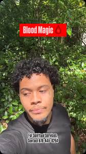 Joshua Amir Abreu (@vodouloraygronde) · Instagram 照片和视频