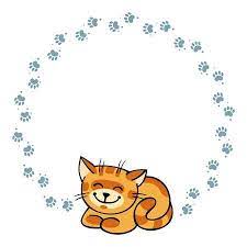 Cornice Rotonda Con Gatto Rosso Sorridente Gatti Rossi Gatti Immagini